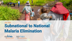 Subnational Malaria Elimination